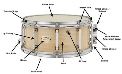 What Is Snare in Music: A Detailed Exploration of Snare Drums and Their Role in Various Music Genres